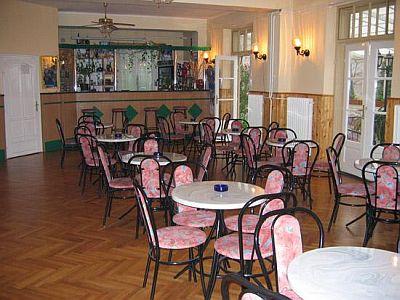 Hotel Vonyarc - close to Heviz at Lake Balaton - Hotel Vonyarc - Vonyarcvashegy - Balaton