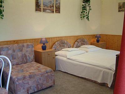 Hotel Vonyarc in Vonyarcvashegy - hotel at Lake Balaton - Hotel Vonyarc - Vonyarcvashegy - Balaton