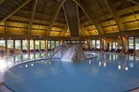Thermal pool in Danubius Health Spa Resort Heviz - wellness hotel in Heviz