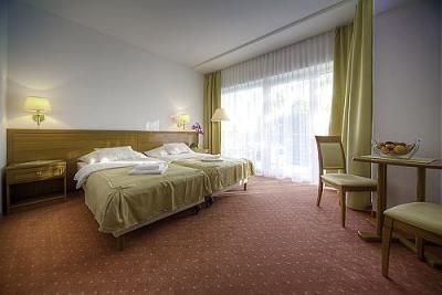 Double room in Balatonszarszo, wellness weekend in Balatonszarszo in Ket Korona Hotel - ✔️ Két Korona Wellness Hotel Balatonszárszó ✔️ Lake Balaton
