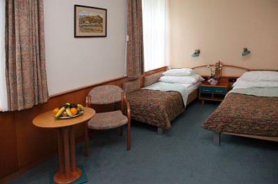 Available double room in Hotel Spa Heviz - Hotel Spa*** Heviz - discount Spa Thermal Hotel in the near of Thermal Lake Heviz